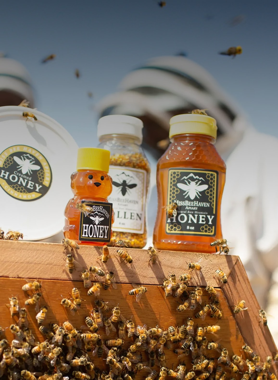 Miss Bee Haven Apiary